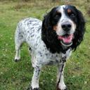 author's profile picture